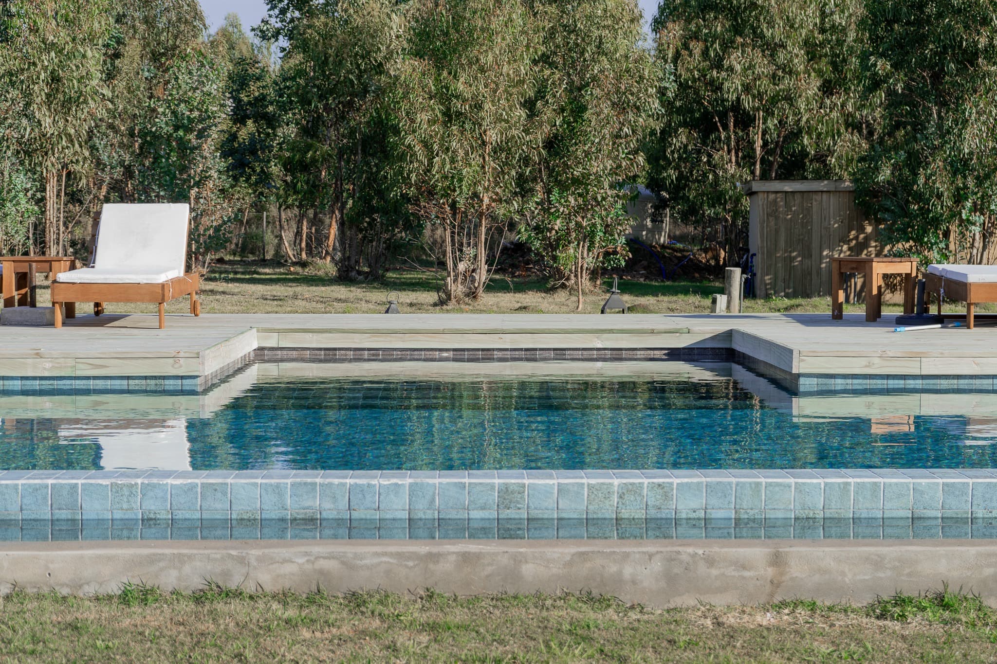 Piscina de borde en venecitas celestes con deck de madera y reposeras, rodeada de eucaliptos
